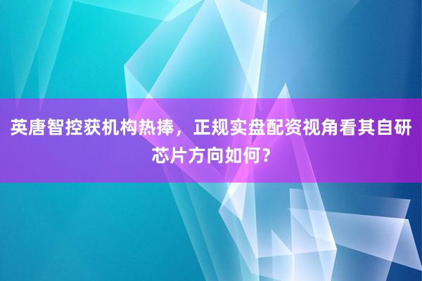 英唐智控获机构热捧，正规实盘配资视角看其自研芯片方向如何？