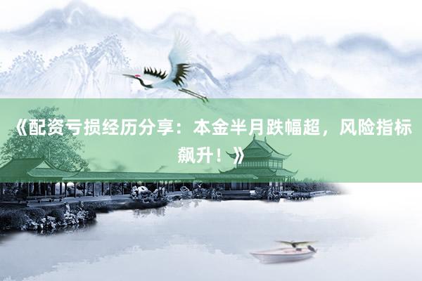 《配资亏损经历分享：本金半月跌幅超，风险指标飙升！》