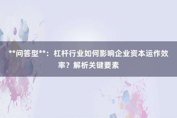 **问答型**：杠杆行业如何影响企业资本运作效率？解析关键要素