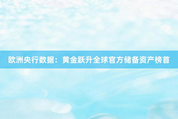 欧洲央行数据：黄金跃升全球官方储备资产榜首